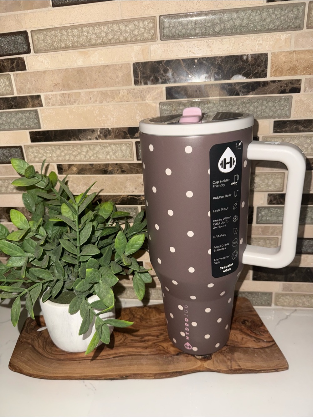 NWT HydroJug x UO Exclusive On The Dot Traveler